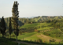 Świat jest piękny!