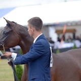 III Championat Koni Arabskich