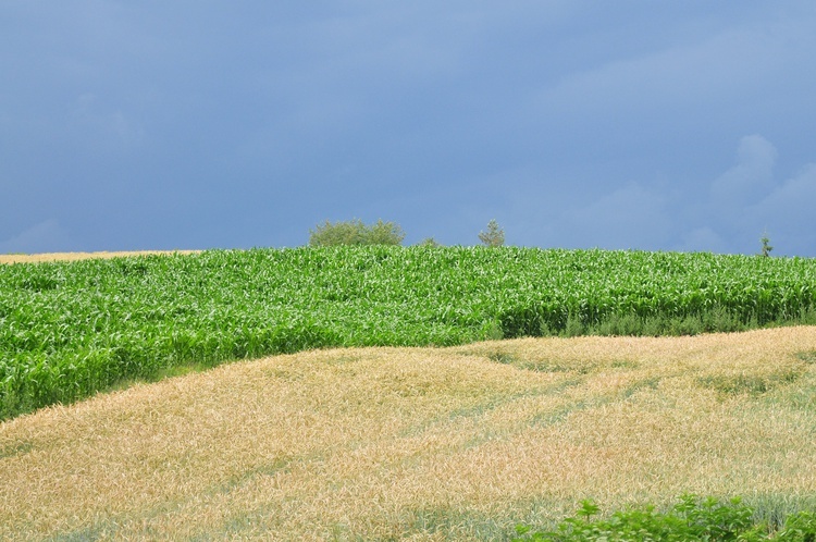 Parafia Blinów