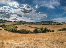 Temperatura idzie w górę?