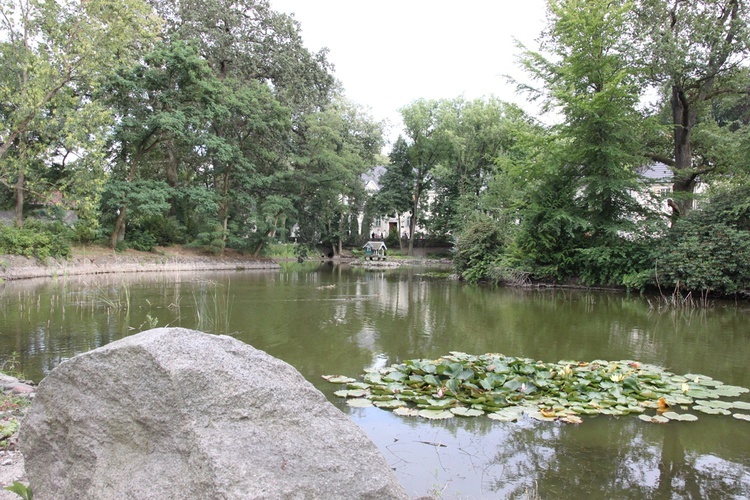 Zainspirowani Bagnem