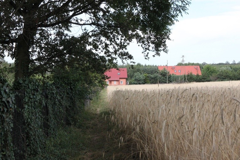 Zainspirowani Bagnem