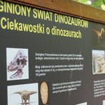 Wakacje w krainie dinozaurów