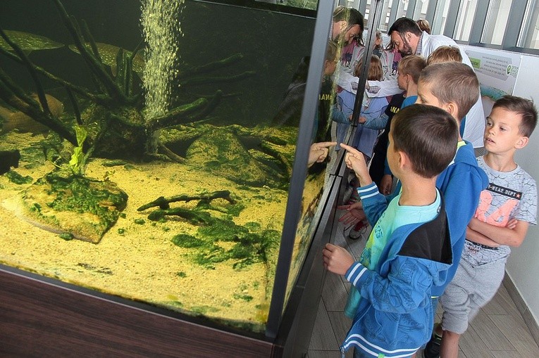Centrum Edukacji Ekologicznej i Rewitalizacji Jezior w Szczecinku