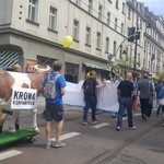 Marsz Ruchu Autonomii Śląska 2018 