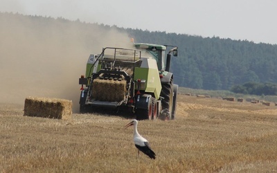 Pomoc dla rolników 