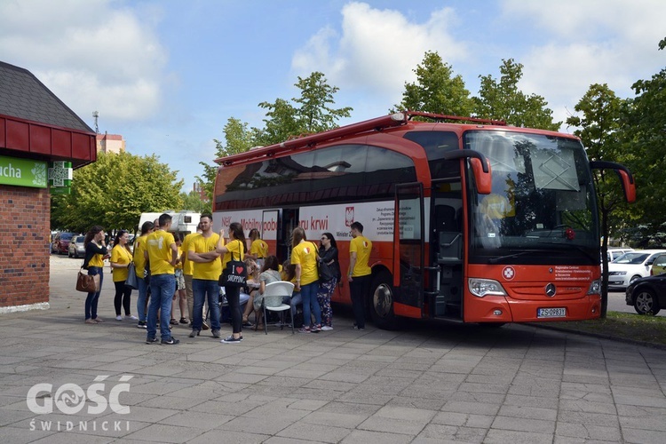 Wakacje Fundacji Dzieło Nowego Tysiąclecia