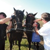 Każdy z wierzchowców otrzymał okolicznościowe flo.