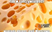 Zobacz memy po porażce Legii ze Spartakiem Trnava