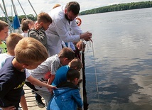 Zanurkować czy obejść?