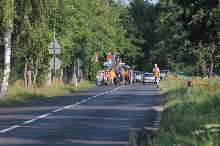 Fiolety z pomarańczą