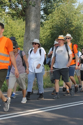 Fiolety z pomarańczą