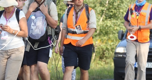 Fiolety z pomarańczą