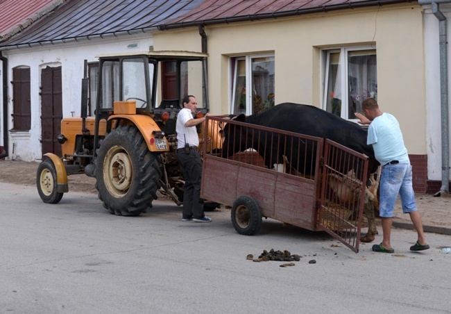 Filmowcy kręcili "Klechę" w Odrzywole