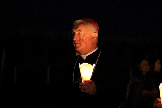 2. Rocznica ŚDM - Brzegi 2018