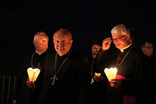 2. Rocznica ŚDM - Brzegi 2018