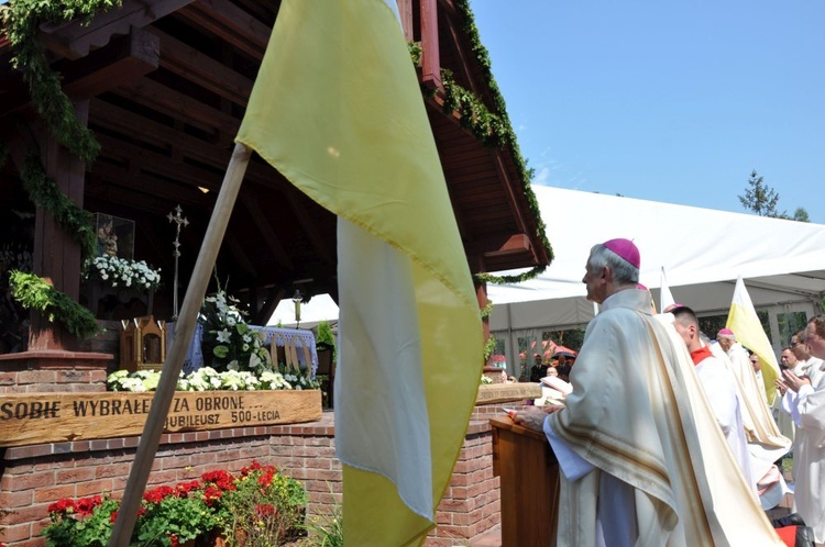 Prymas i biskupi w Oleśnie u św. Anny