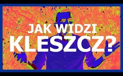 Jak uniknąć kleszczy? - Nauka. To lubię.