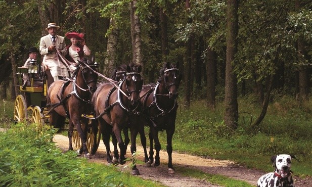 Konkurs o trofeum "Śląska"