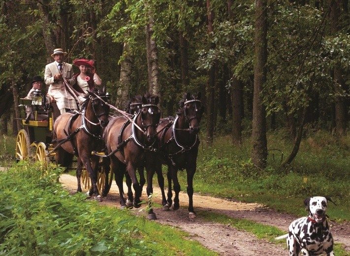 Konkurs o trofeum "Śląska"