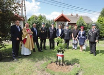 ▲	Pamiątką strażackiego jubileuszu jest Dąb Niepodległości.