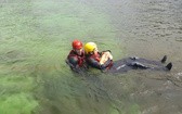 Strażacy i ratownicy wodni ćwiczą w Mysłowicach