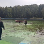 Strażacy i ratownicy wodni ćwiczą w Mysłowicach