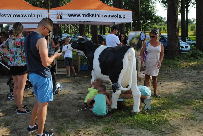 Błonia w Stalowej Woli