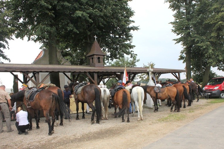 IX Konna Pielgrzymka do Goja