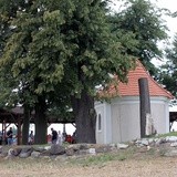 IX Konna Pielgrzymka do Goja