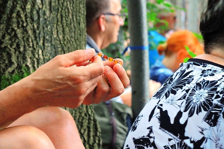 Trzonka 2018 - u Matki Bożej Śnieżnej