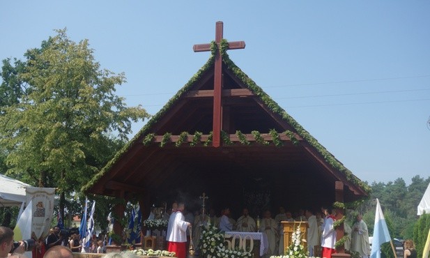 Dzieje pewnej sosny i ikona z Wrocławia