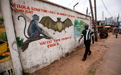 Na muralach w Monrovii (Liberia) zobaczyć można murale przestrzegające przed nosicielami eboli.