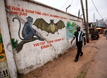 Na muralach w Monrovii (Liberia) zobaczyć można murale przestrzegające przed nosicielami eboli.
