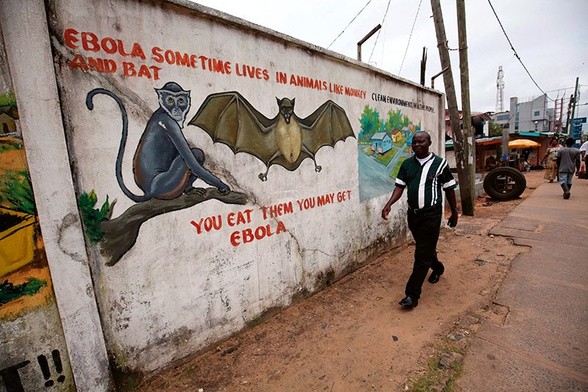 Na muralach w Monrovii (Liberia) zobaczyć można murale przestrzegające przed nosicielami eboli.