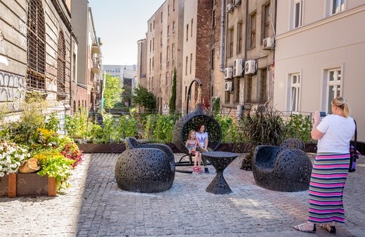 Ogród kieszonkowy w centrum Katowic