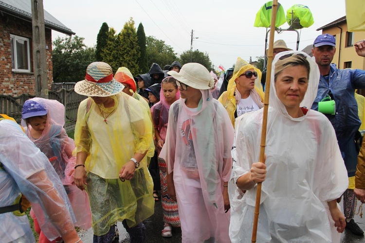 PPW 2018 - 7 dzień (las za Dąbrową - Bór Zapilski / Czarna Wieś)