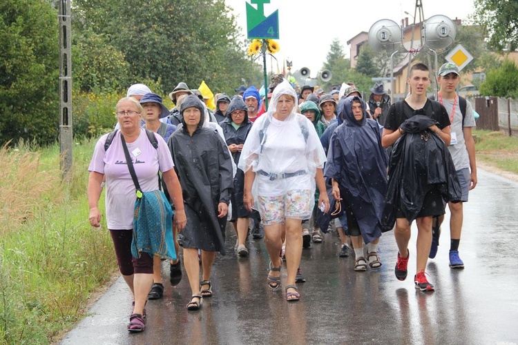 PPW 2018 - 7 dzień (las za Dąbrową - Bór Zapilski / Czarna Wieś)