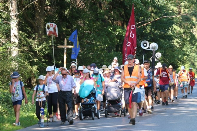 Pielgrzymują na Jasną Górę