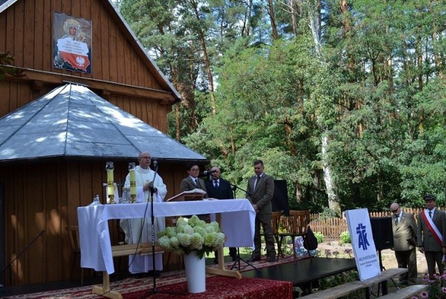 Uroczystości patriotyczne w Borowinie