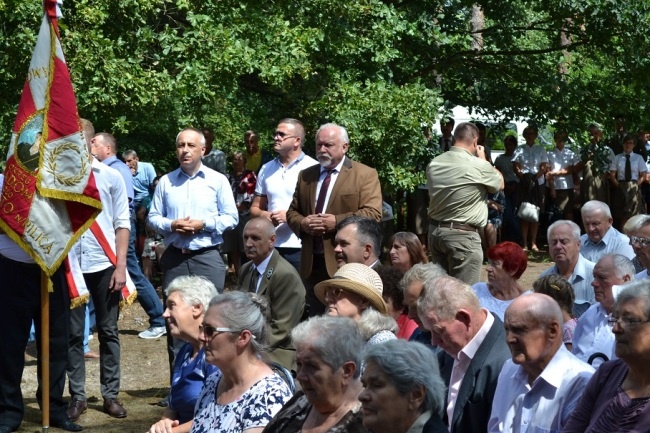 Uroczystości patriotyczne w Borowinie