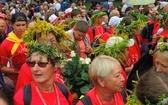 27. Piesza Pielgrzymka Cieszyńska na Jasnej Górze - 2018