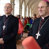 Uroczystości jubileuszowe w Świętej Lipce