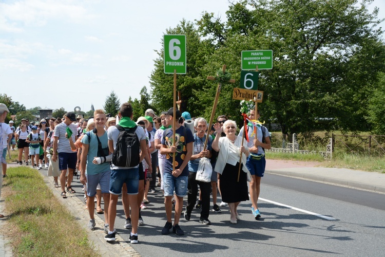 "Szóstka" zielona już w drodze