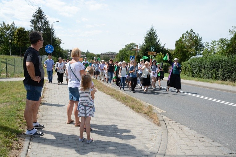 "Szóstka" zielona już w drodze