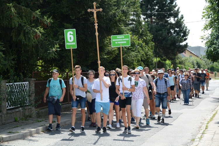 "Szóstka" zielona już w drodze