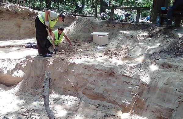 Roboty trwały w miejscach wskazanych przez mieszkańców.