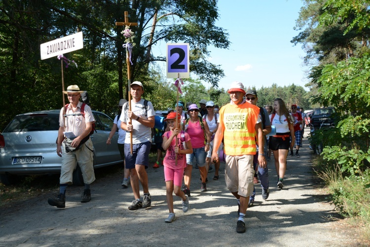 Strumień opolski w Kosorowicach