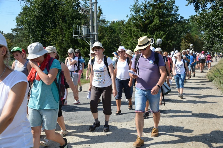 Strumień opolski w Kosorowicach