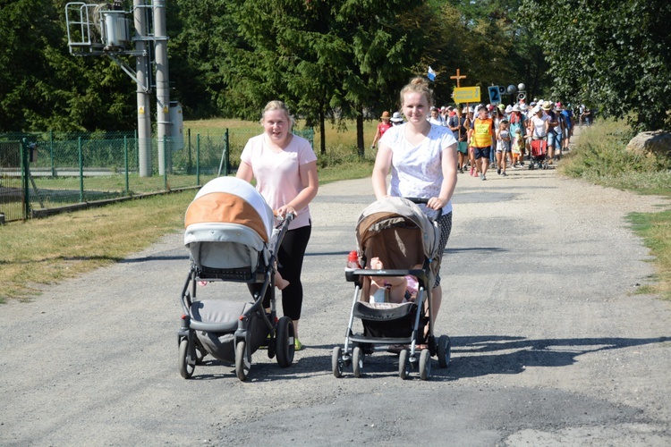 Strumień opolski w Kosorowicach